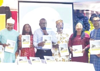 Villagers Lament as Gunmen Impose Funeral Levy in Anambra Community