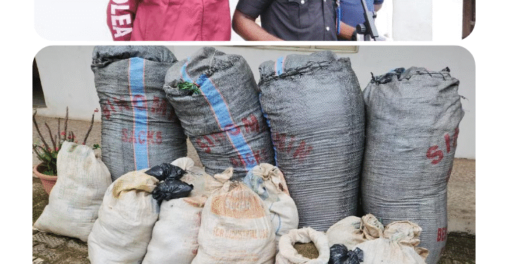 Police Arrest 54 Suspected Cultists, Recover Hard Drugs in Anambra Community