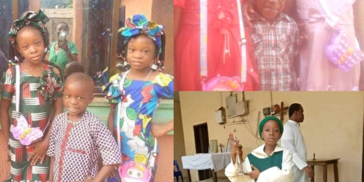 Why We Have Not Unmasked Killers of Three Siblings Found in Freezer – Anambra CP