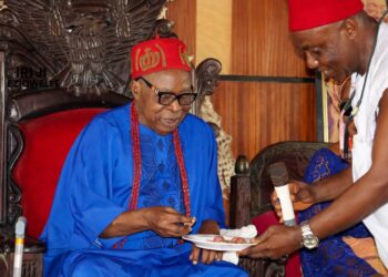 Anambra Monarch Explains Why Pythons Are Forbidden To Be Killed In Idemili