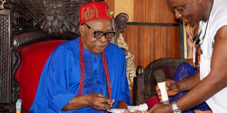 Anambra Monarch Explains Why Pythons Are Forbidden To Be Killed In Idemili
