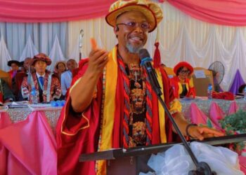 Chidoka Urges Universities to Instil the Spirit of “Mekaria” in Africa’s Next Generation