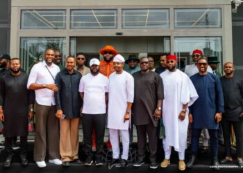 Why Seyi Tinubu Met Obi Cubana, Stanel boss, other Igbo businessmen