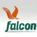The Ezeigbo’s Falcon Corp secures major investment from Energy & LLP