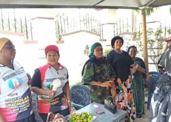 Former Anambra Assembly Speaker, Rita Maduagwu Mobilizes Women Against Soludo, Says Enough is Enough