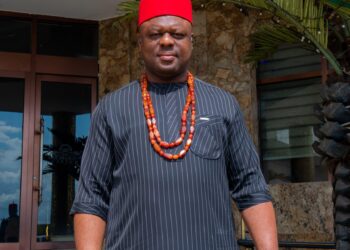 Why Nwabunike Deserves a National Honour