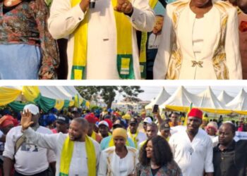 Governorship Candidate Promises ₦200,000 Minimum Wage for Anambra Workers