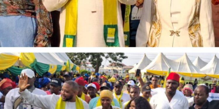 Governorship Candidate Promises ₦200,000 Minimum Wage for Anambra Workers