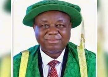 Former UNN VC, Prof Igwe, Dies Of Heart Attack