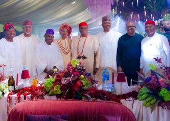 Dignitaries Storm Okey Oramah daughter’s wedding in Abuja 