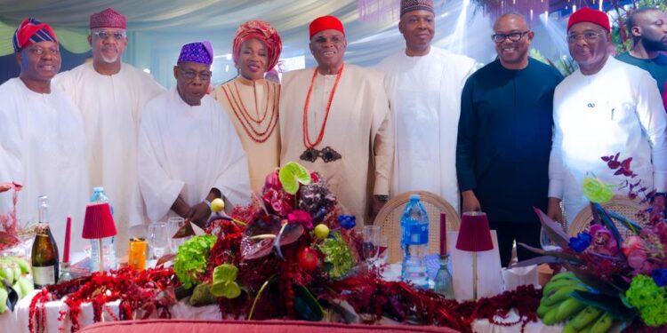 Dignitaries Storm Okey Oramah daughter’s wedding in Abuja 