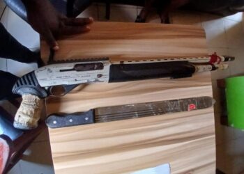 Gunman Arrested in Anambra After Threatening to Destroy Police Stations