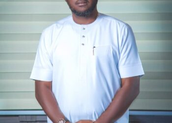 Purity vs. Strategy: A Pragmatic Option for Ndi Igbo in Nigeria – by Uzu Okagbue 