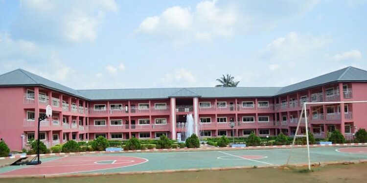 Anambra State Assembly Indicts British Spring College over Demise of Pupil