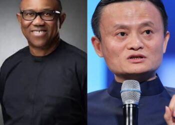 Entrepreneurship: The cost of politics – by Don Ebubeogu 