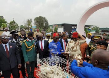 Ndigbo Can’t Continue to Fight a War that Ended 56 Years Ago – Soludo