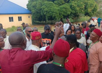 Villagers Raise Alarm as Gunmen Resort to Stealing Rice, Fowls, others in Anambra Community