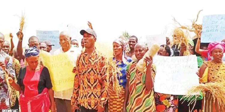 Residents Lament as Work Begins on Second Anambra Airport