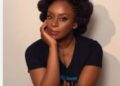 Chimamanda Adichie Engages SAN, Five Doctors as Coroner’s Inquest into Son’s Death Opens April 14