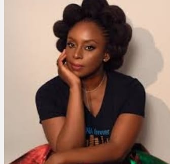 Chimamanda Adichie Engages SAN, Five Doctors as Coroner’s Inquest into Son’s Death Opens April 14