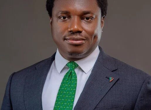 Corporate CZar, Nonso Okpala Appointed Bvndle Loyalty board Chair