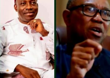 Charles Soludo versus Peter Obi: Before you take sides – Ebuka Onyekwelu, Ph. D
