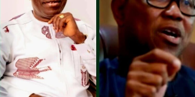 Charles Soludo versus Peter Obi: Before you take sides – Ebuka Onyekwelu, Ph. D