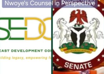The SEDC and Senator Tony Nwoye’s Counsel in Perspective