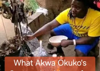 What Akwa Okuko’s Sentencing Means for Anambra – By Ebuka Onyekwelu, Ph.D