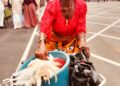 74- Year- Old Widow Gifts Soludo a Fowl at Inauguration in Emotional Gesture