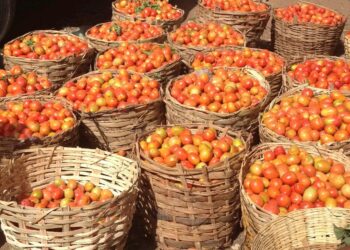 Anambra, Kogi, Others Record Highest Inflation Rates in Nigeria