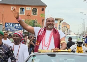Stop Parading Yourself as Traditional Ruler, Anambra Government Tells Ndigwe.