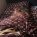 Reactions as Lady Dies In Her Boyfriend’s House In Awka.