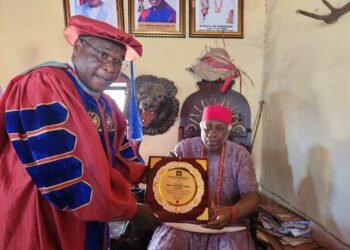 Us-based Institute Confers Honourary Doctor of Divinity on Eze Iweka III