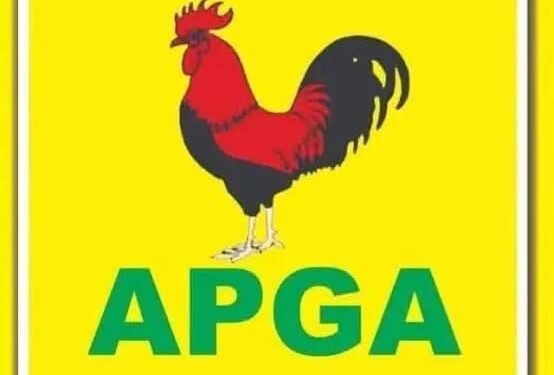 APGA Primaries: Senatorial Projections ahead of Saturday’s Exercise
