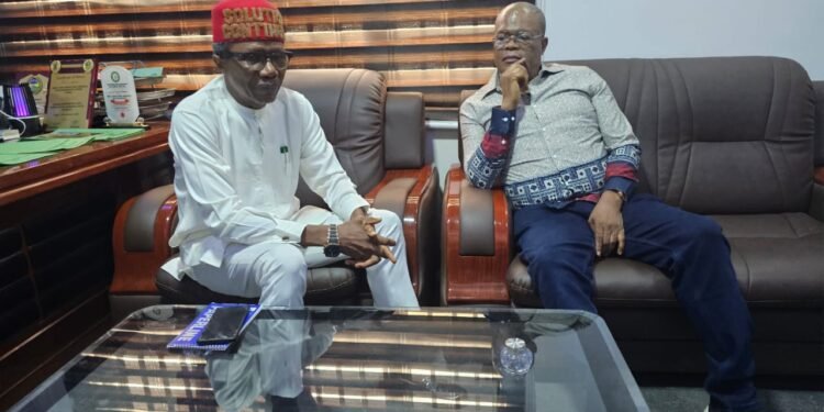 Church can’t shield you – Mefor tells fake pastors