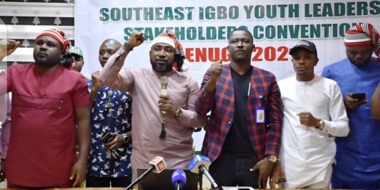 Igbo youth leaders disown SEDC Board dissolution demand
