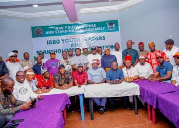 Igbo Youth Leaders Back SEDC, Call for More Federal Appointments for South-East Youths