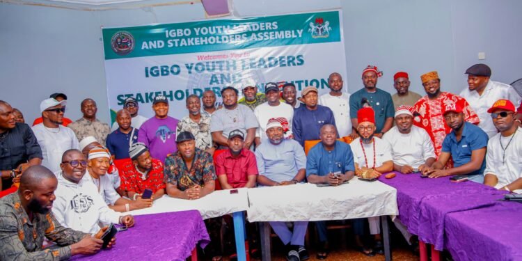 Igbo Youth Leaders Back SEDC, Call for More Federal Appointments for South-East Youths