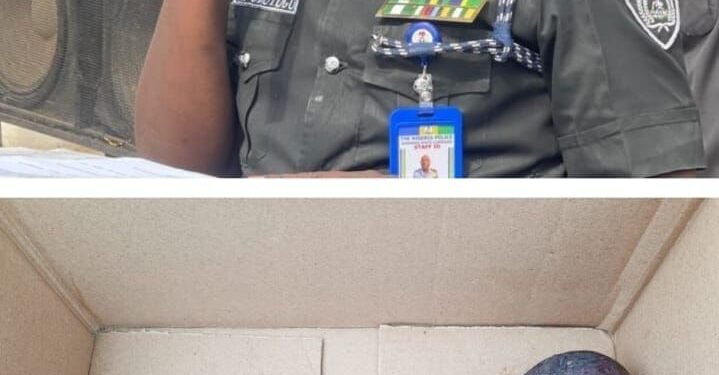Police nab parents over abandonment of two dead infant twins inside Anambra drainage