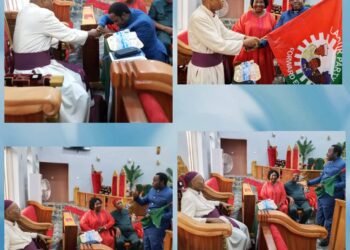 Anglican Bishop hails clergymen for joining politics
