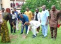 Agripreneur to youths: embrace tree planting, fruit processing for wealth creation