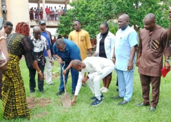 Agripreneur to youths: embrace tree planting, fruit processing for wealth creation