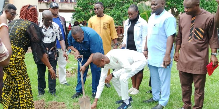 Agripreneur to youths: embrace tree planting, fruit processing for wealth creation