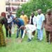 Agripreneur to youths: embrace tree planting, fruit processing for wealth creation