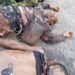Agunechemba operatives kill three, Recover RPG, AK-47s, Hilux Van