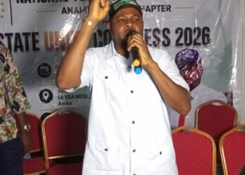 NYCN elects Onuorah as Anambra chair