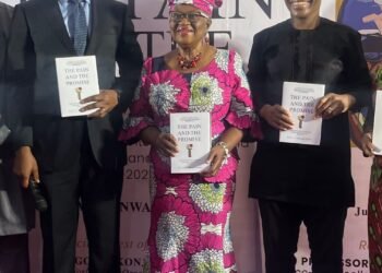 How Okonjo-Iweala Stopped Me From ‘Japa’ — Chidoka