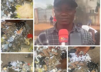 SASA destroys N50m worth hard drugs, arrest notorious dealers in Anambra
