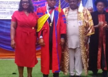 UNIZIK don seeks expansion, legal backing to Igbo Apprenticeship System